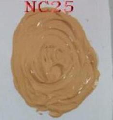 Face Makeup Fluid Foundation Make Up