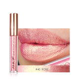 FOCALLURE 10 Colors  Lipstick